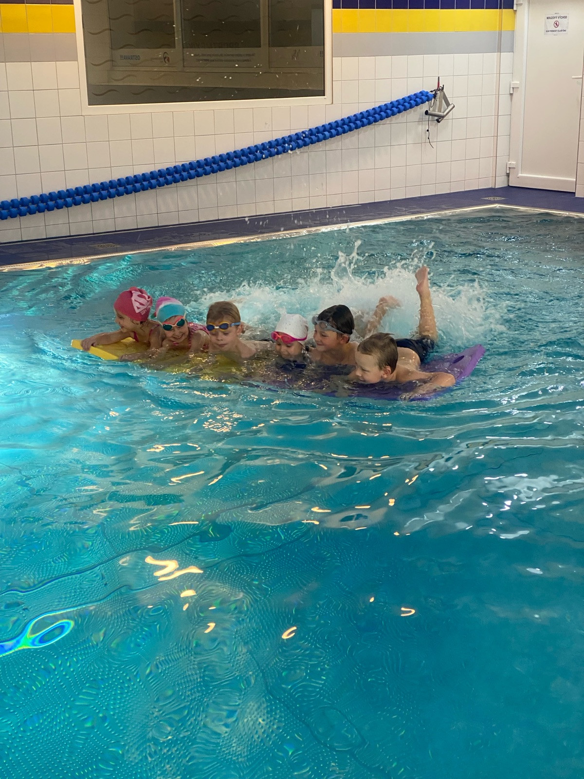 plavání1.jpg